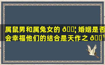 属鼠男和属兔女的 🐦 婚姻是否会幸福他们的结合是天作之 🌹 合还是命中注定的纷争
